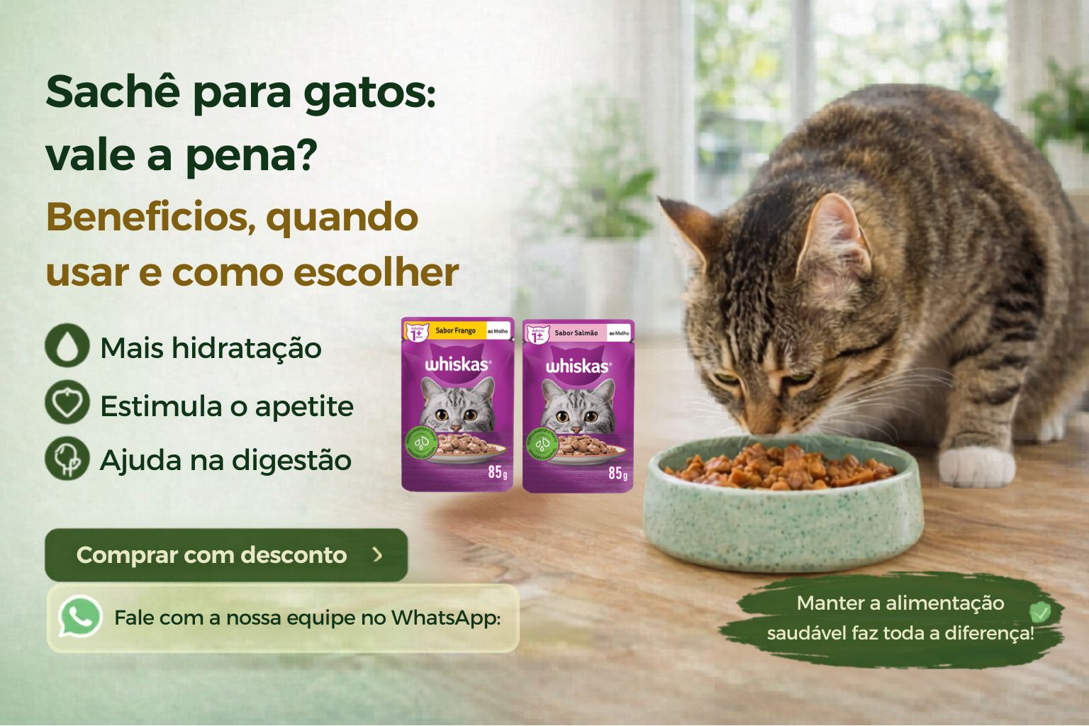 Sachê para gatos: vale a pena? Benefícios, quando usar e como escolher