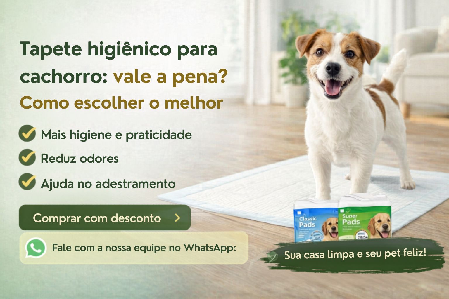 Tapete higiênico para cachorro: vale a pena? Como escolher o melhor