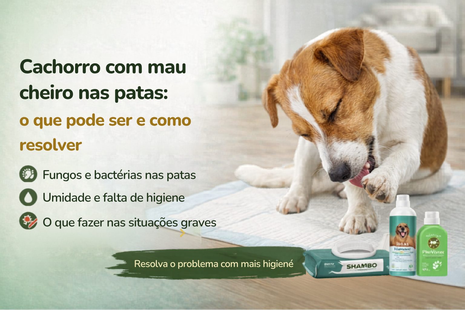 Cachorro com mau cheiro nas patas: o que pode ser e como resolver